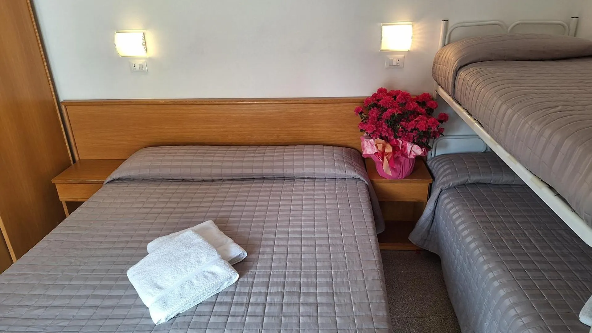 Hotel Alessi** Римини